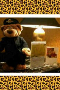 Bear Promosi Hotel